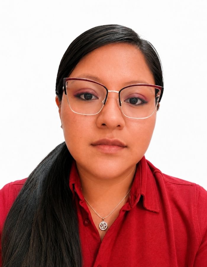 Profesor Textil